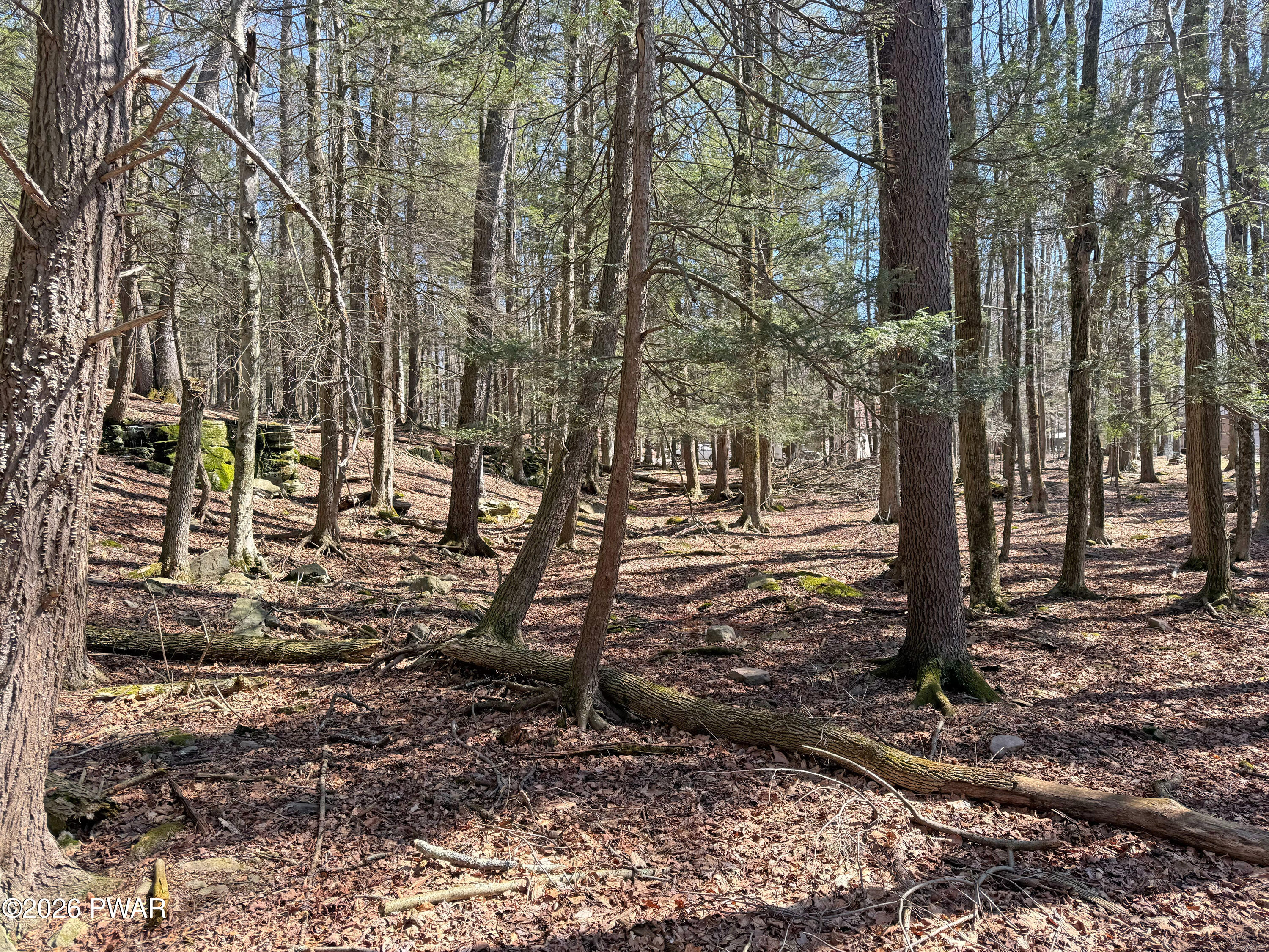924-927 Hibernation Road Lake Ariel, PA 18436 - Photo 16 of 31
