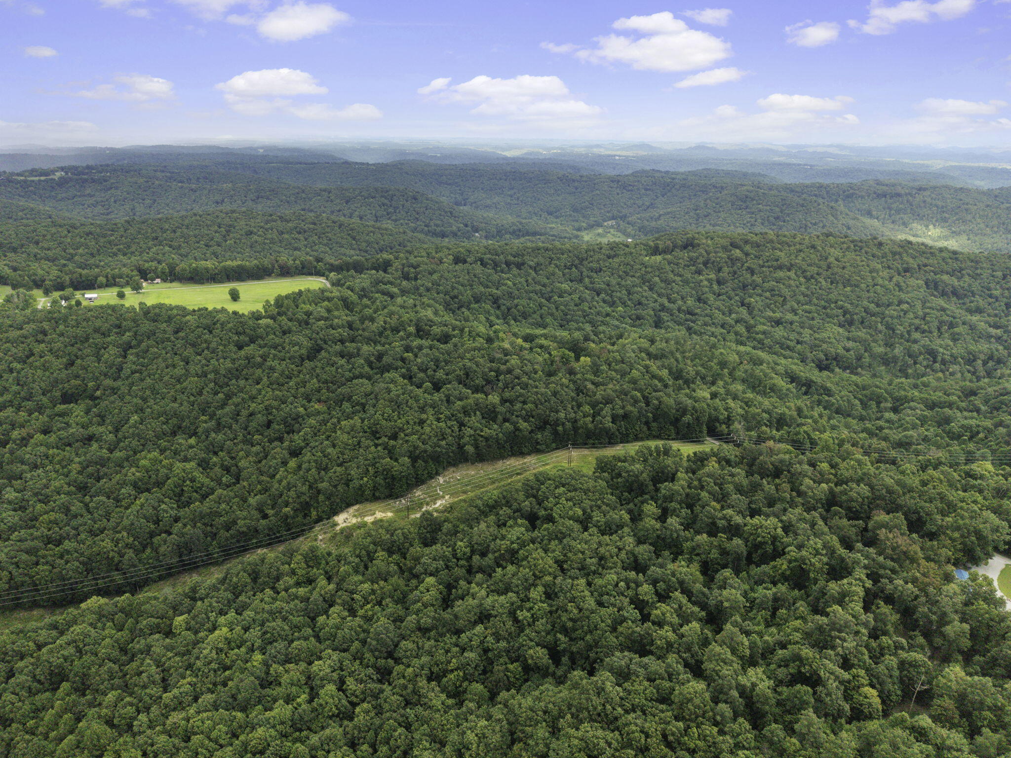 2201 Farris Branch Road Wallingford, KY 41093 - Photo 17 of 42 17-web-or-mls-DJI_20260805142453_0045_D
