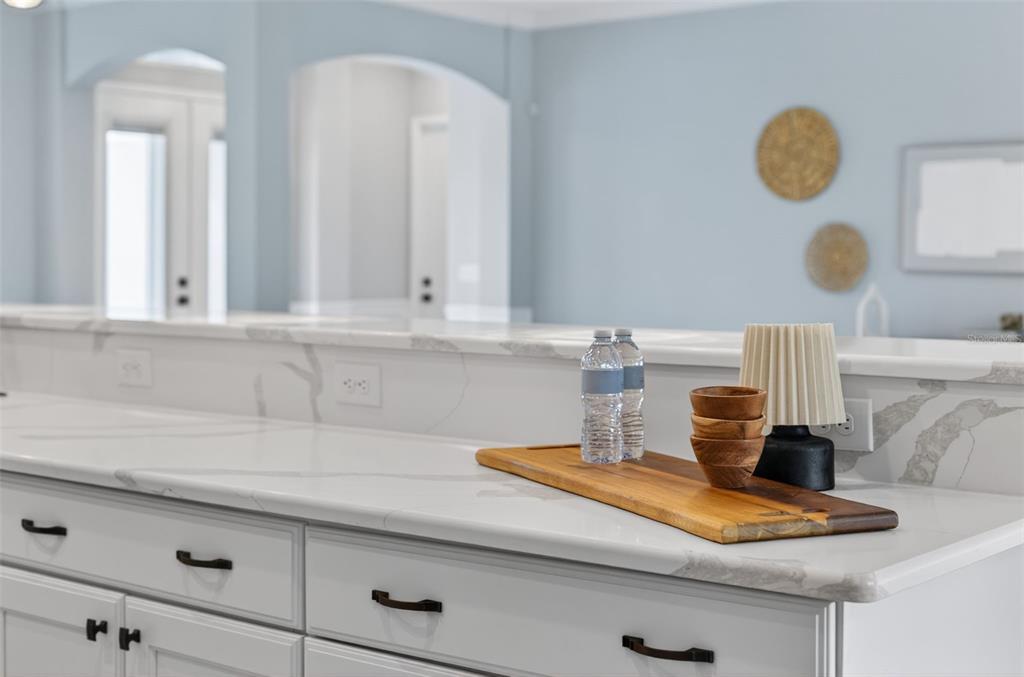 3954 Kennebunk Loop Mount Dora, FL 32757 - Photo 19 of 65