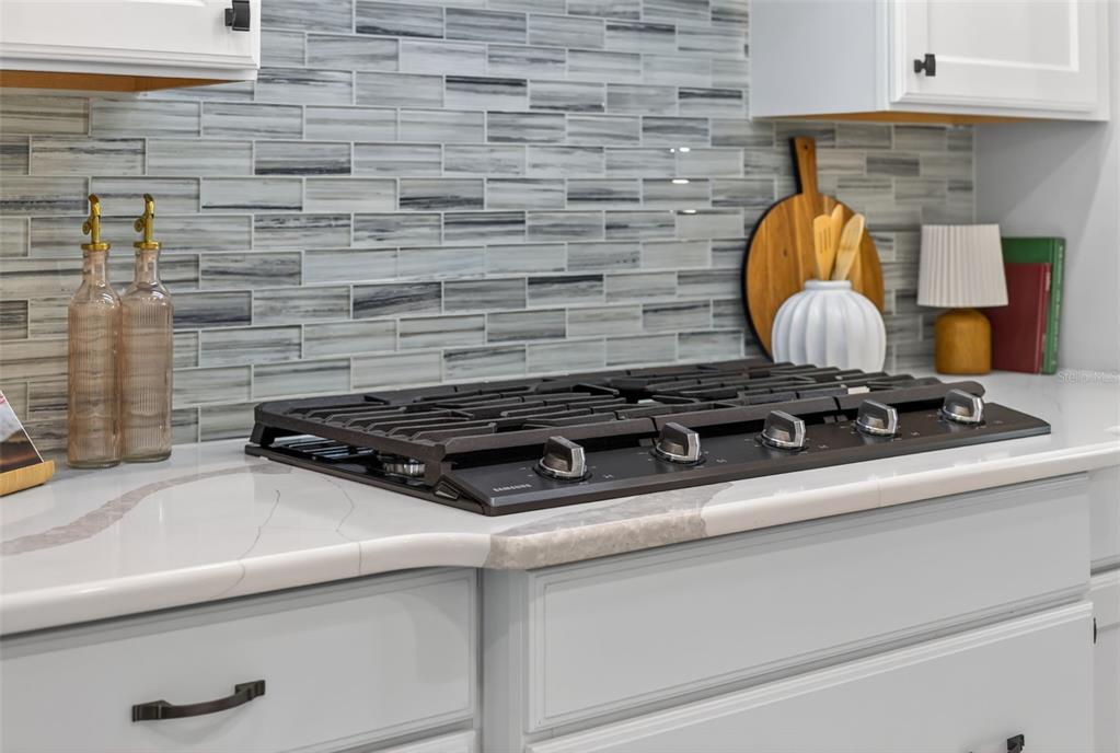 3954 Kennebunk Loop Mount Dora, FL 32757 - Photo 21 of 65