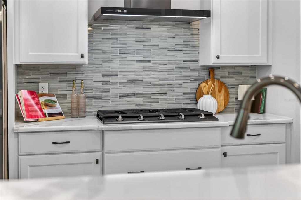 3954 Kennebunk Loop Mount Dora, FL 32757 - Photo 22 of 65