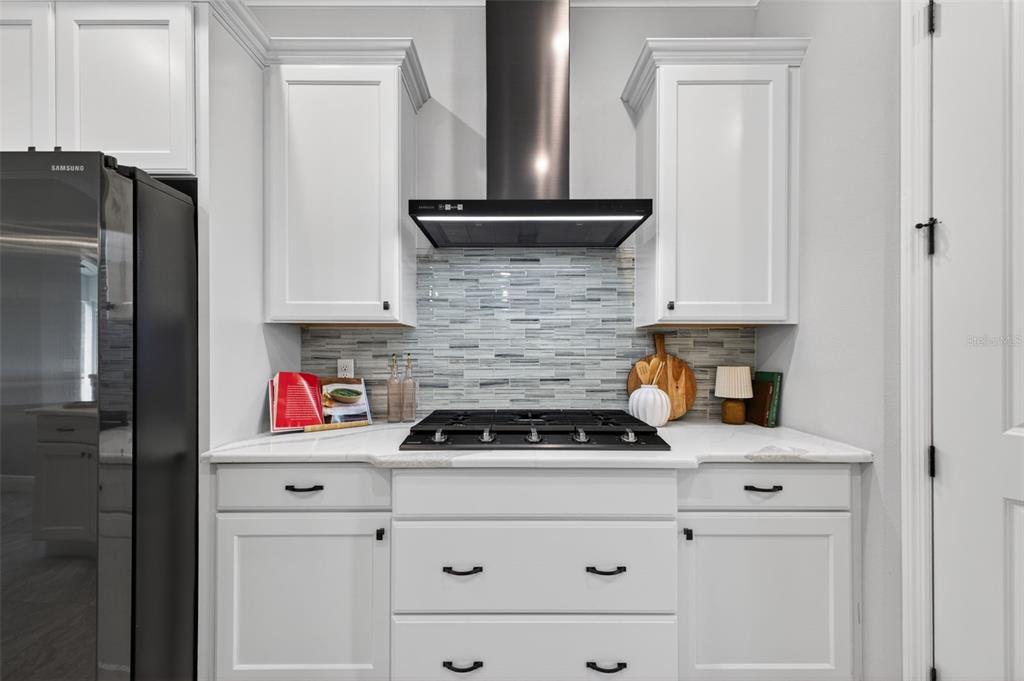 3954 Kennebunk Loop Mount Dora, FL 32757 - Photo 23 of 65