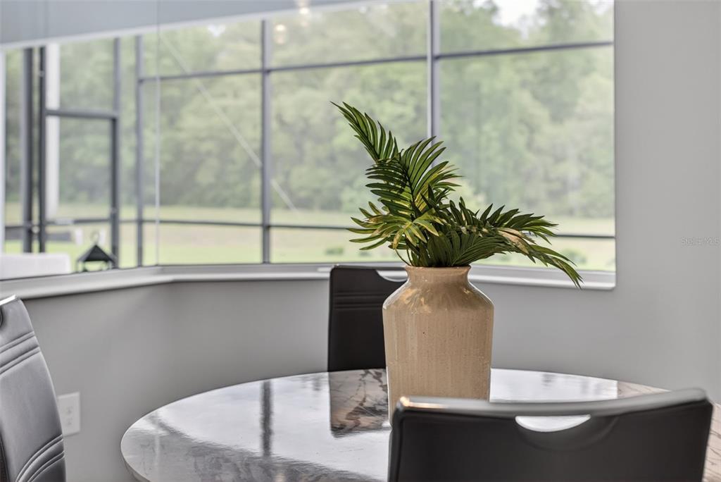 3954 Kennebunk Loop Mount Dora, FL 32757 - Photo 27 of 65