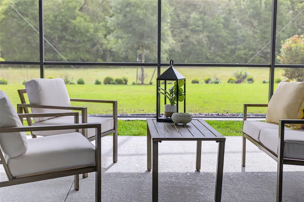 3954 Kennebunk Loop Mount Dora, FL 32757 - Photo 50 of 65