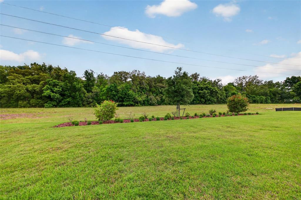 3954 Kennebunk Loop Mount Dora, FL 32757 - Photo 5 of 65