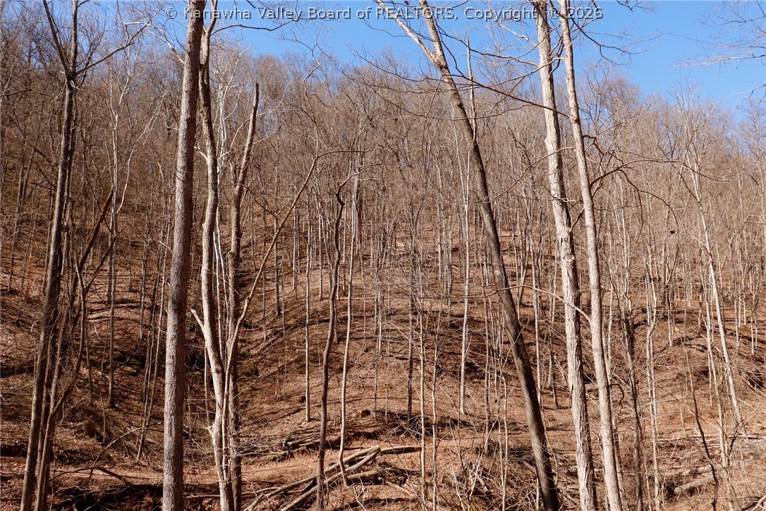 0 Straight Creek Road Walton, WV 25286 - Photo 32 of 47 Gallery Image 32