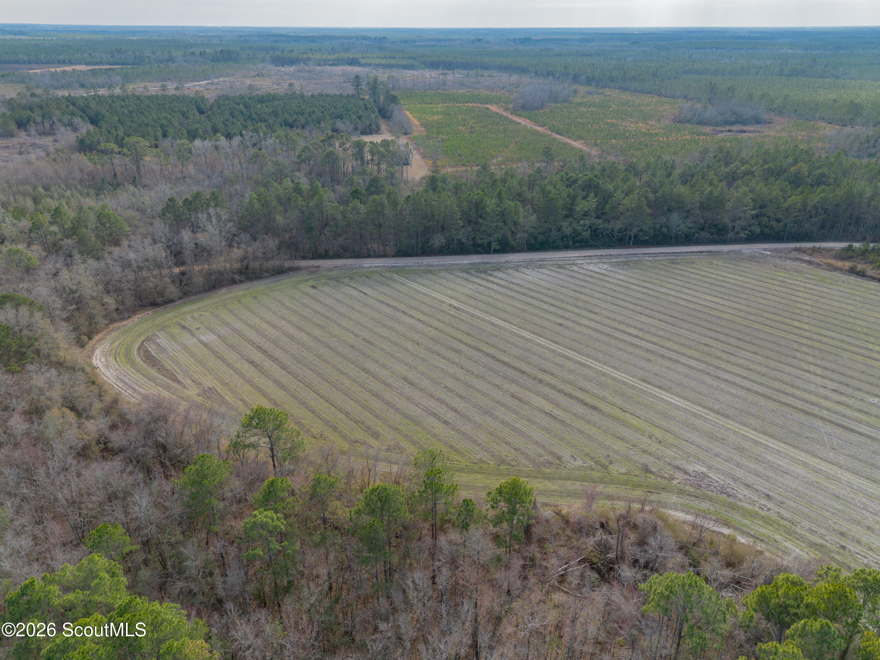 0 Reddish Road Odum, GA 31555 - Photo 30 of 46 230-AC-REDDISH-ODUM-29