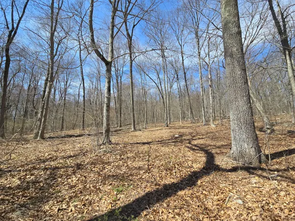 a backyard of a house with lots of trees