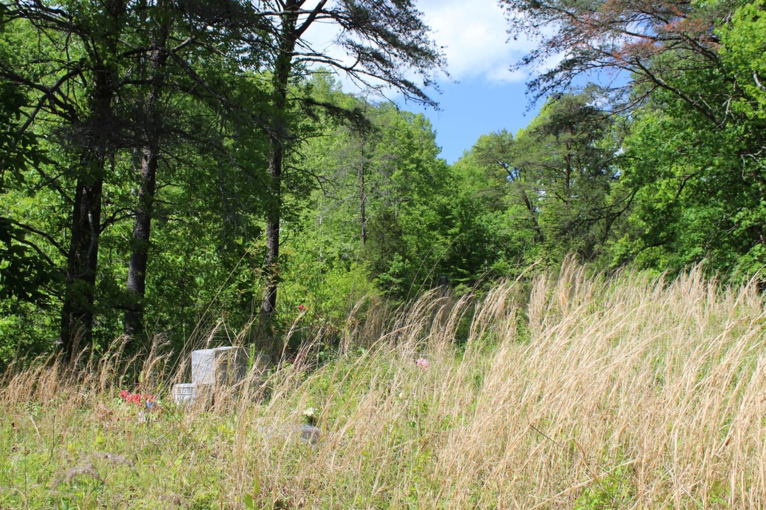 2010 Pryse Road Irvine, KY 40336 - Photo 22 of 56 Photo 22