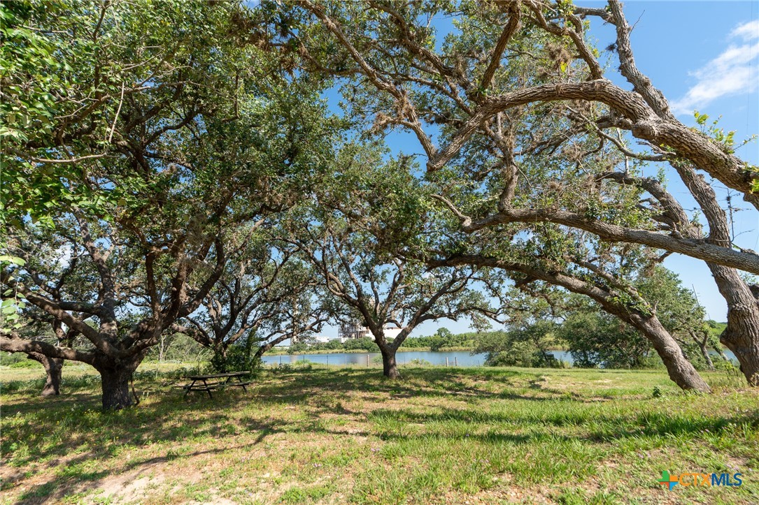 Lot 49 Perdido Pointe Estates Victoria, TX 77905 - Photo 3 of 14 a view of a yard with a tree
