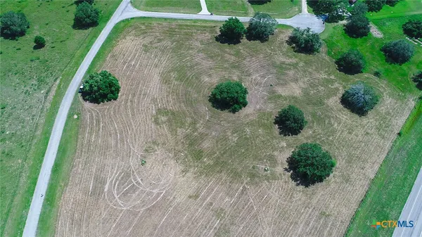 a view of a garden with a pathway