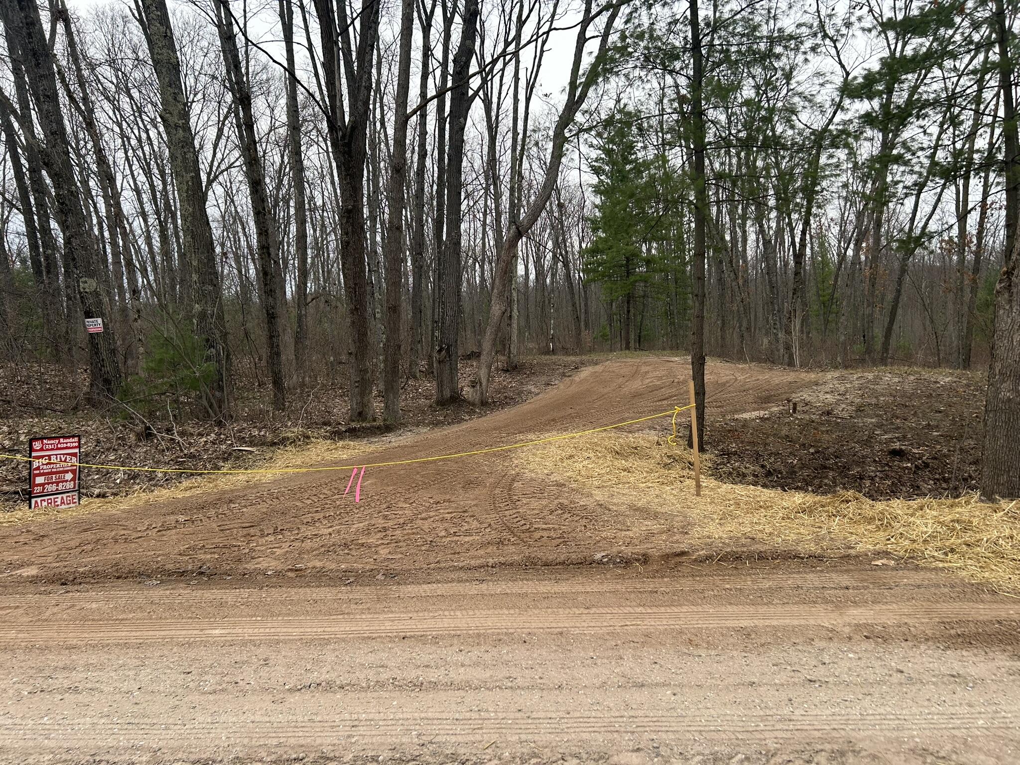 Steinberg Road Wellston, MI 49689 - Photo 7 of 9 IMG_4314