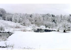 62 Waters Road Lyman, NH 03585 - Photo 5 of 5