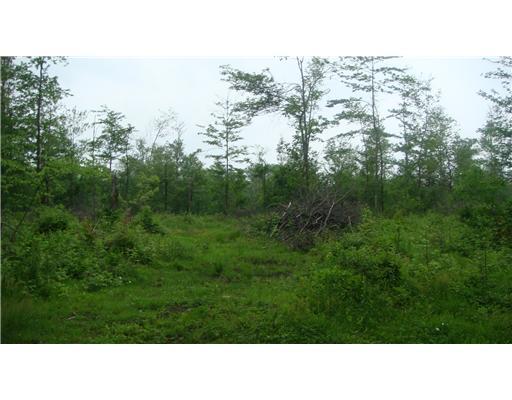 Lot #a Schroyer Road Mill Run, PA 15464 - Photo 11 of 18 Land.