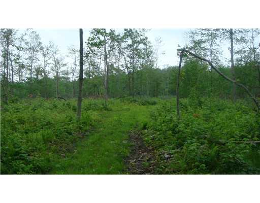 Lot #a Schroyer Road Mill Run, PA 15464 - Photo 13 of 18 Land.