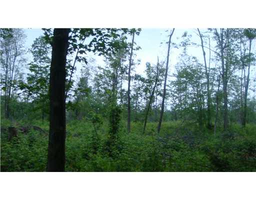 Lot #a Schroyer Road Mill Run, PA 15464 - Photo 15 of 18 Land.