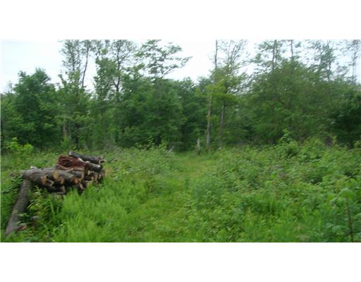 Lot #a Schroyer Road Mill Run, PA 15464 - Photo 16 of 18 Land.