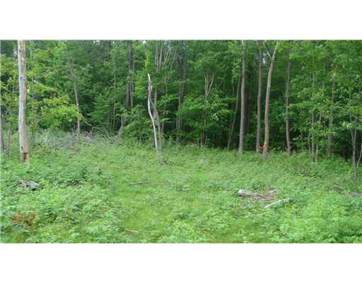 Lot #a Schroyer Road Mill Run, PA 15464 - Photo 17 of 18 Land.