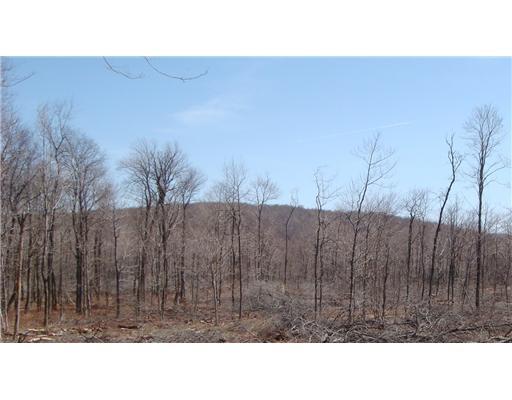 Lot #a Schroyer Road Mill Run, PA 15464 - Photo 18 of 18 Land. View of Mountain in Fall/Winter Months