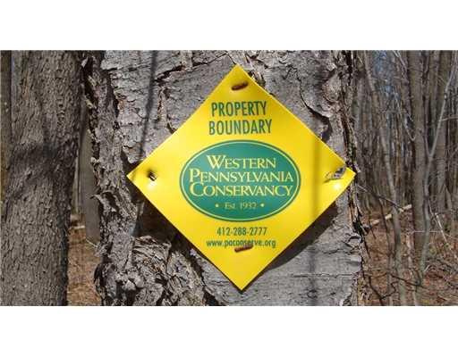 Lot #a Schroyer Road Mill Run, PA 15464 - Photo 4 of 18 Land. land borders the Western Pa. Conservacy... means privacy!!!!!