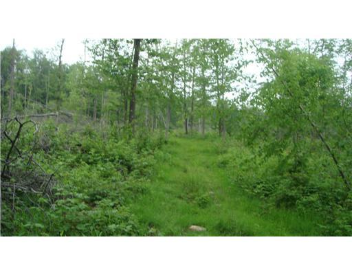 Lot #a Schroyer Road Mill Run, PA 15464 - Photo 5 of 18 Land.