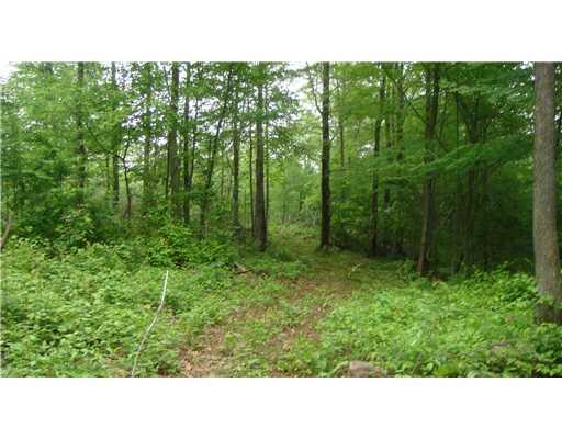 Lot #a Schroyer Road Mill Run, PA 15464 - Photo 6 of 18 Land.