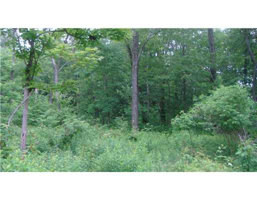 Lot #a Schroyer Road Mill Run, PA 15464 - Photo 7 of 18 Land.