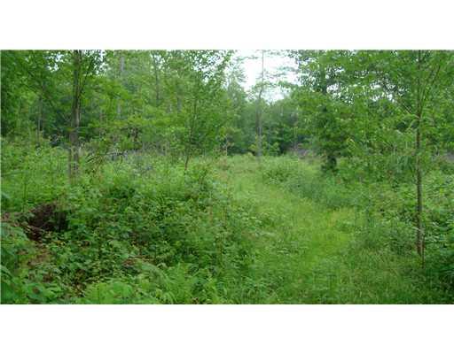 Lot #a Schroyer Road Mill Run, PA 15464 - Photo 8 of 18 Land.