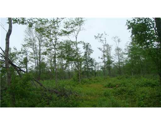 Lot #a Schroyer Road Mill Run, PA 15464 - Photo 10 of 18 Land.