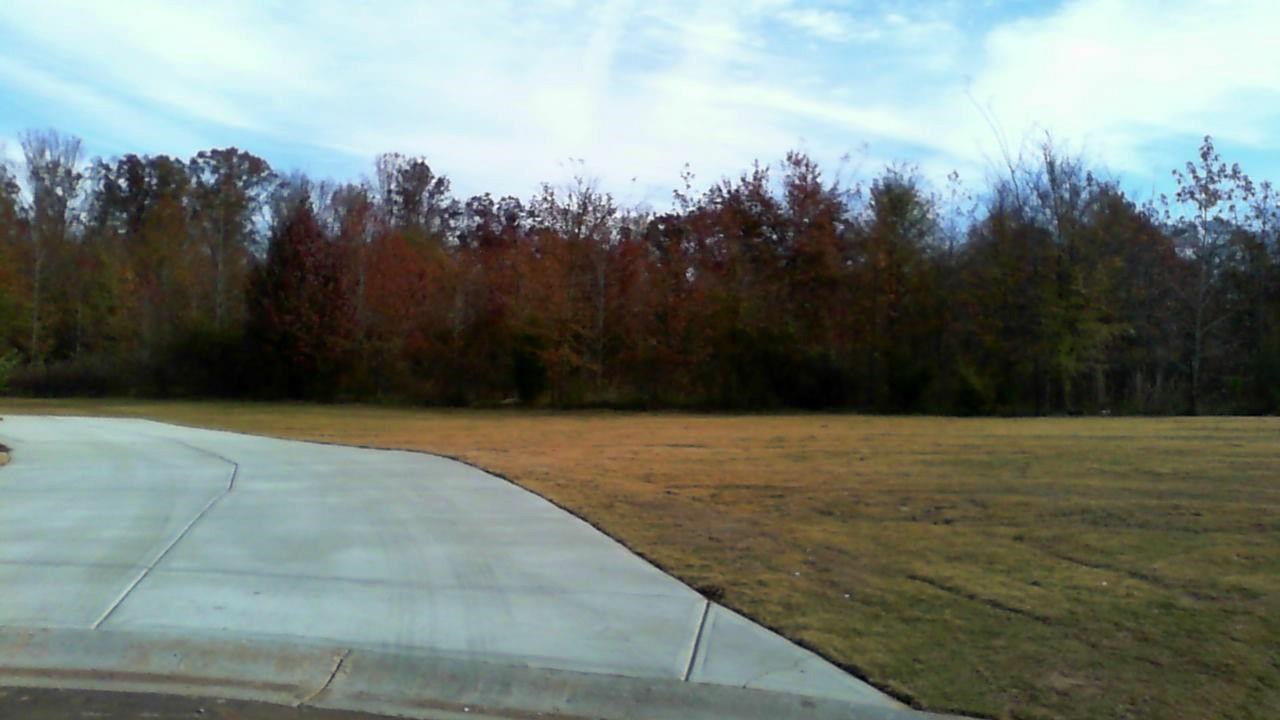 119 Rolling Meadows Court Anderson, SC 29621 - Photo 3 of 7 Gallery Image 3