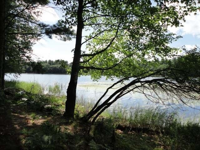 Lot 20 West Twin Lake Road Hazelhurst, WI 54531 - Photo 2 of 8 Gallery Image 2