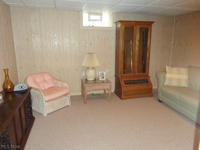 14360 Newton Road Cleveland, OH 44130 - Photo 27 of 33 Bedroom 5 - Basement