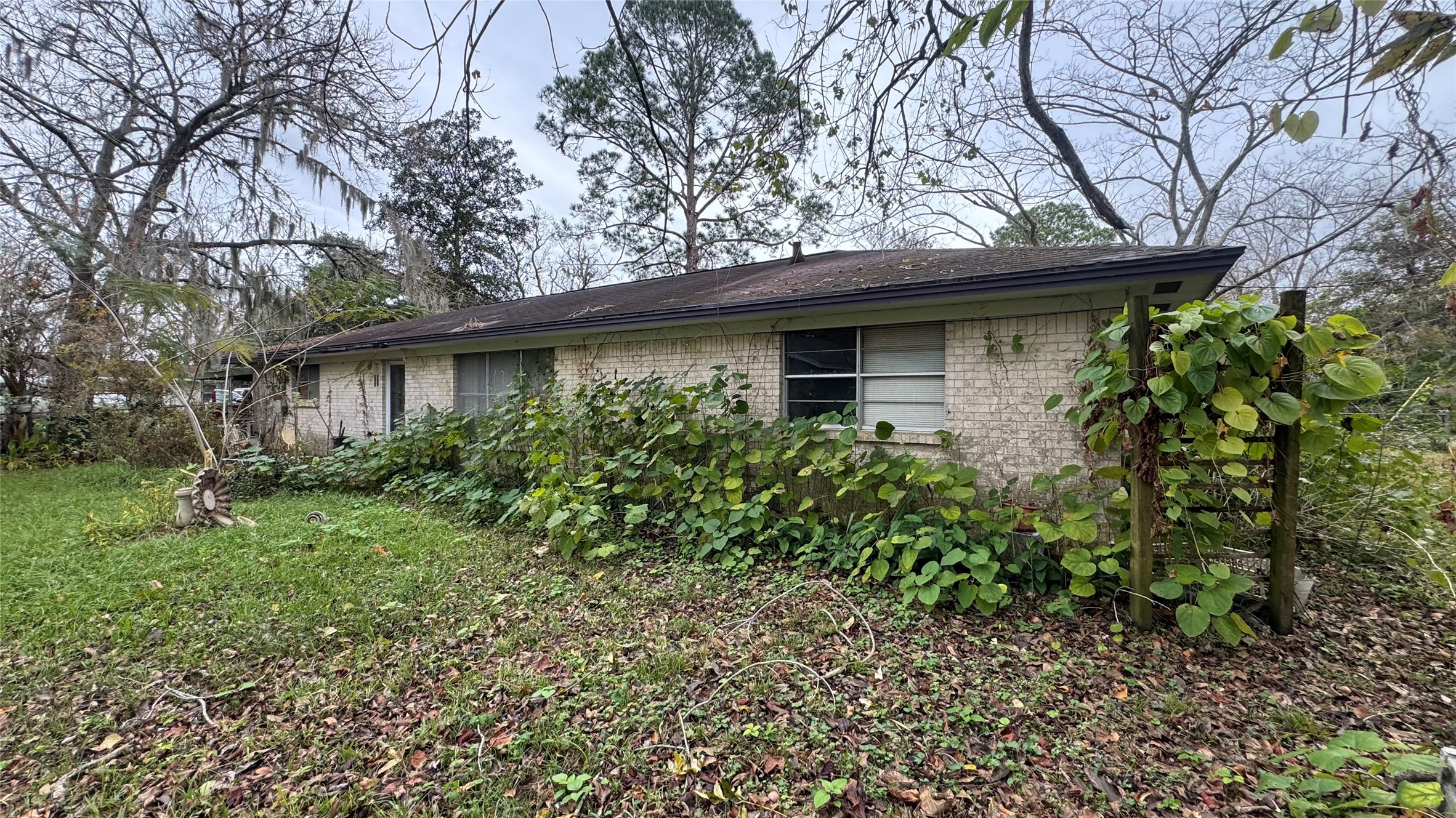 1111 Avenue B Sweeny, TX 77480 - Photo 16 of 17 a house with a tree in front of it