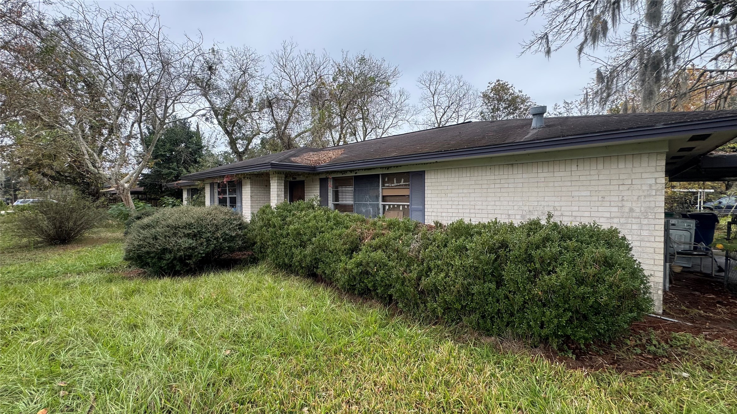 1111 Avenue B Sweeny, TX 77480 - Photo 2 of 17 a view of a house with a yard plants and large tree