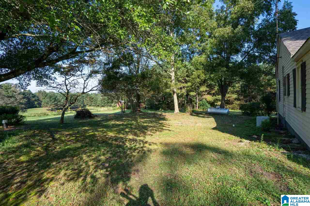 1697 Robin Hill Road Oneonta, AL 35121 - Photo 30 of 50