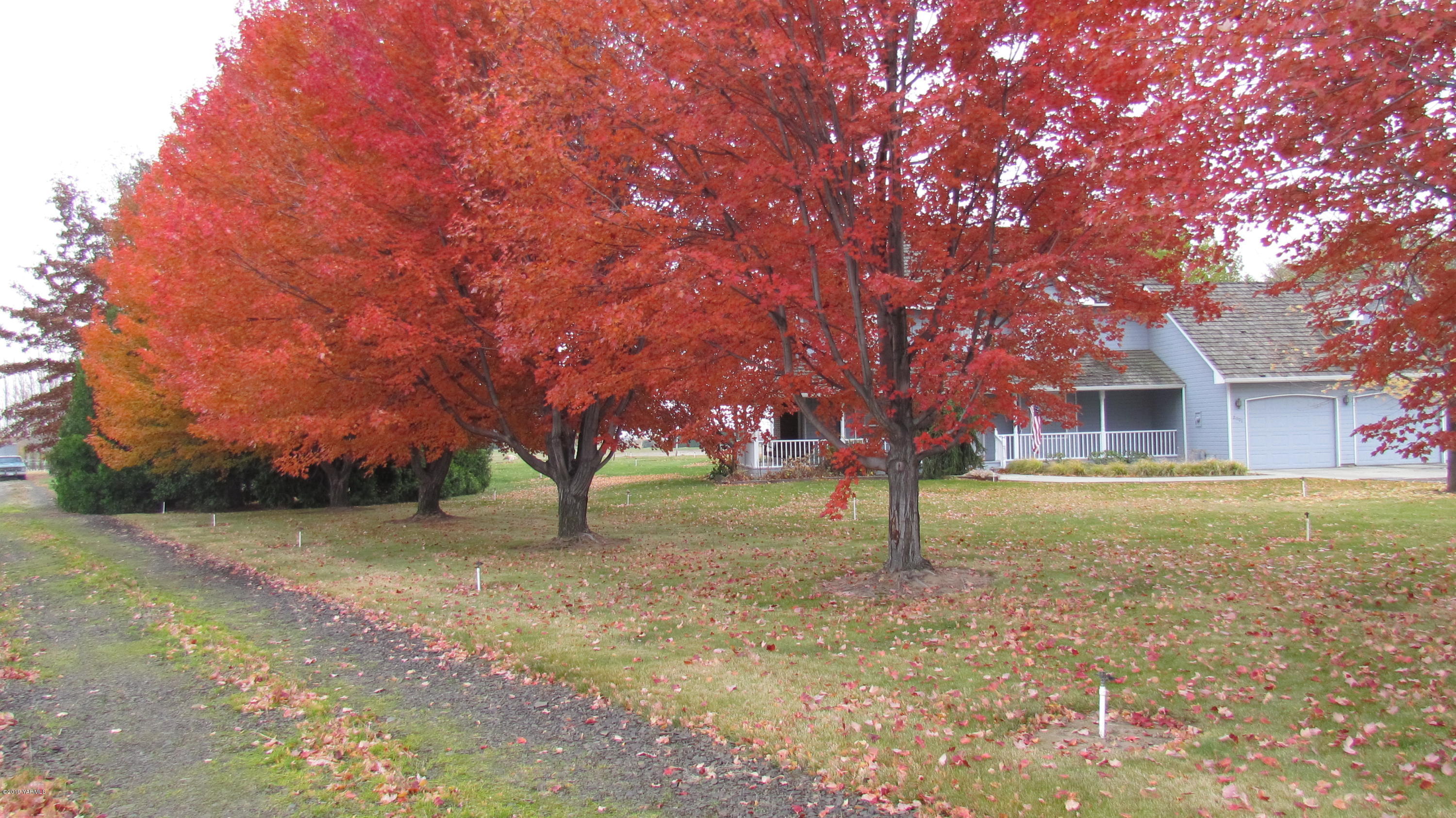 2001 Moore Road Yakima, WA 98908 - Photo 36 of 36 a house with trees in front of it