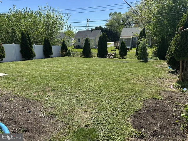 a view of a yard with plants