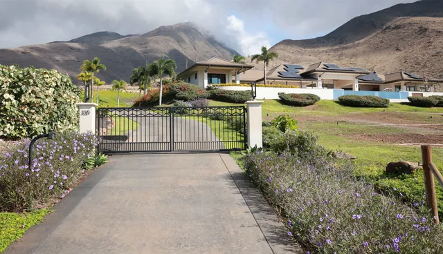 a view of a garden with pathway