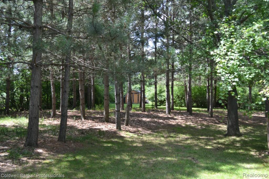 2729 Reed Road Lapeer, MI 48446 - Photo 15 of 32 Shed #2