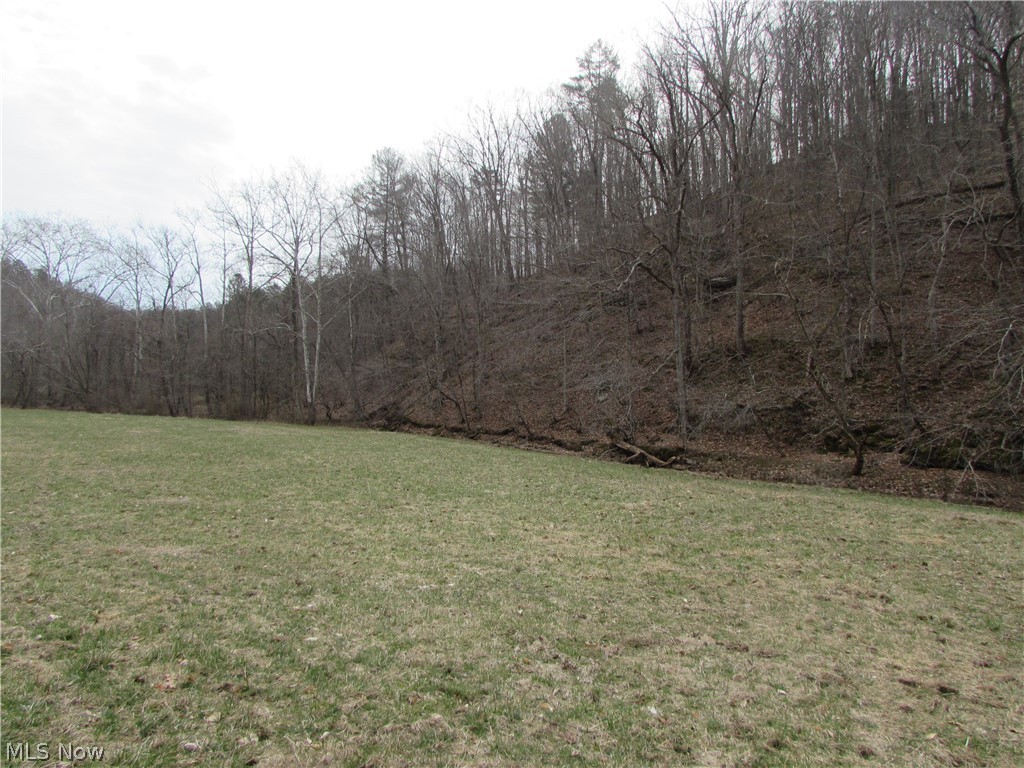 Bean Ridge Road Smithville, WV 26178 - Photo 5 of 34 Gallery Image 5