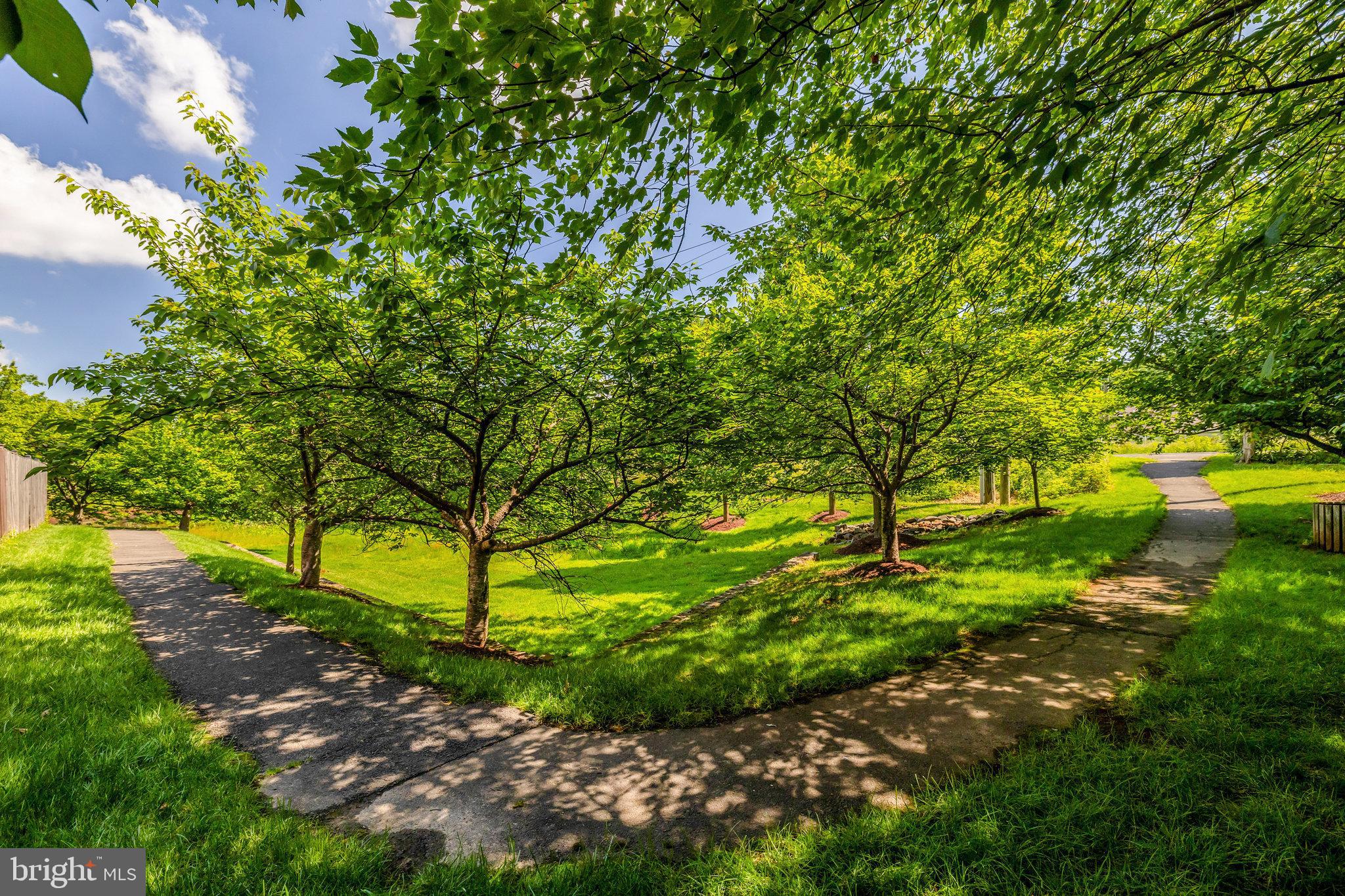 45509 Trail Run Terrace Sterling, VA 20164 - Photo 63 of 64