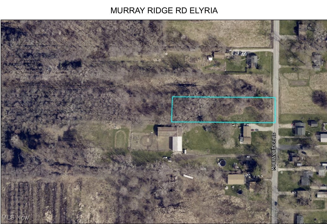 7668 Murray Ridge Road Elyria, OH 44035 - Photo 4 of 10 Aerial of Front Parcel
