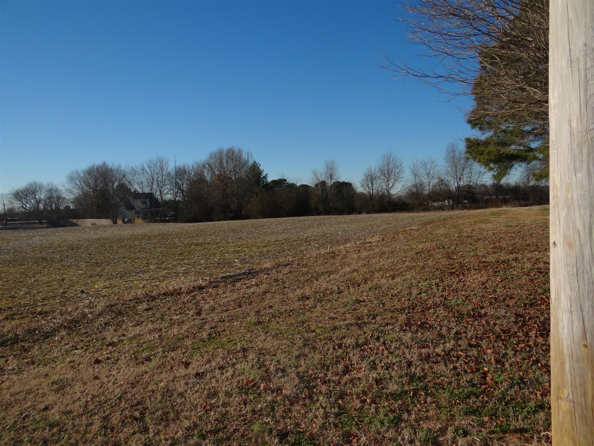 162 Dunn Fall River Road Leoma, TN 38468 - Photo 6 of 19