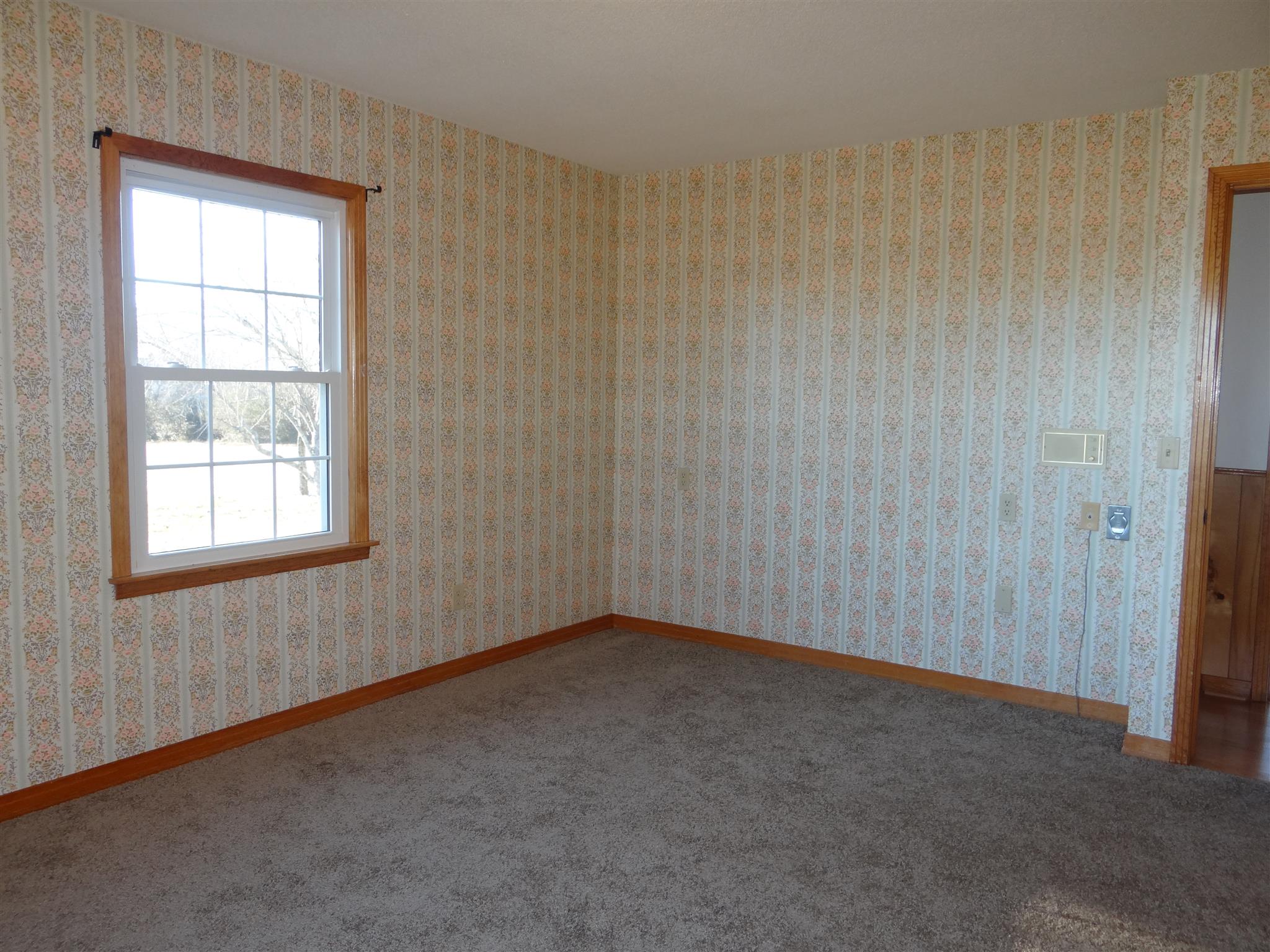 162 Dunn Fall River Road Leoma, TN 38468 - Photo 8 of 19