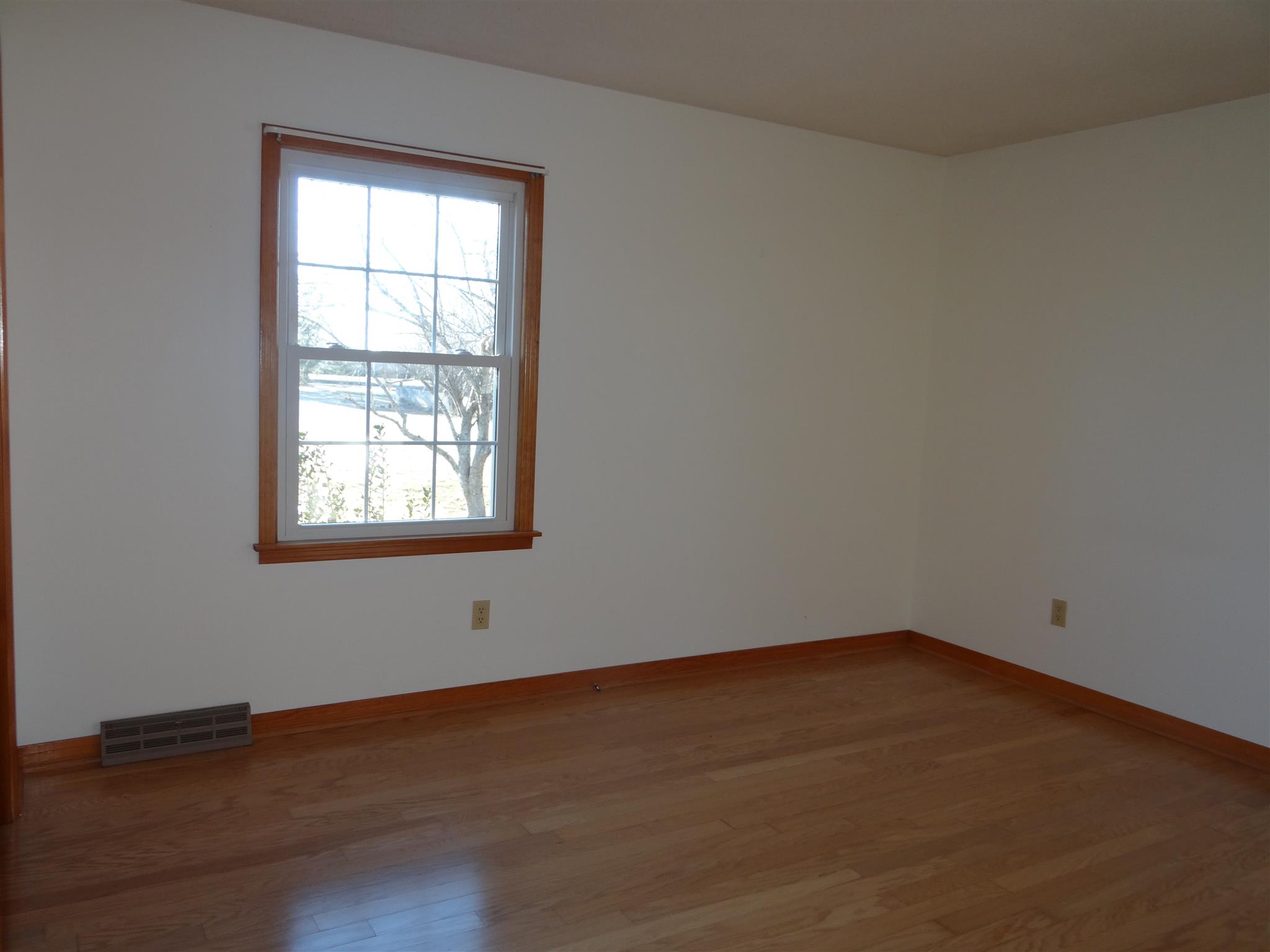 162 Dunn Fall River Road Leoma, TN 38468 - Photo 9 of 19