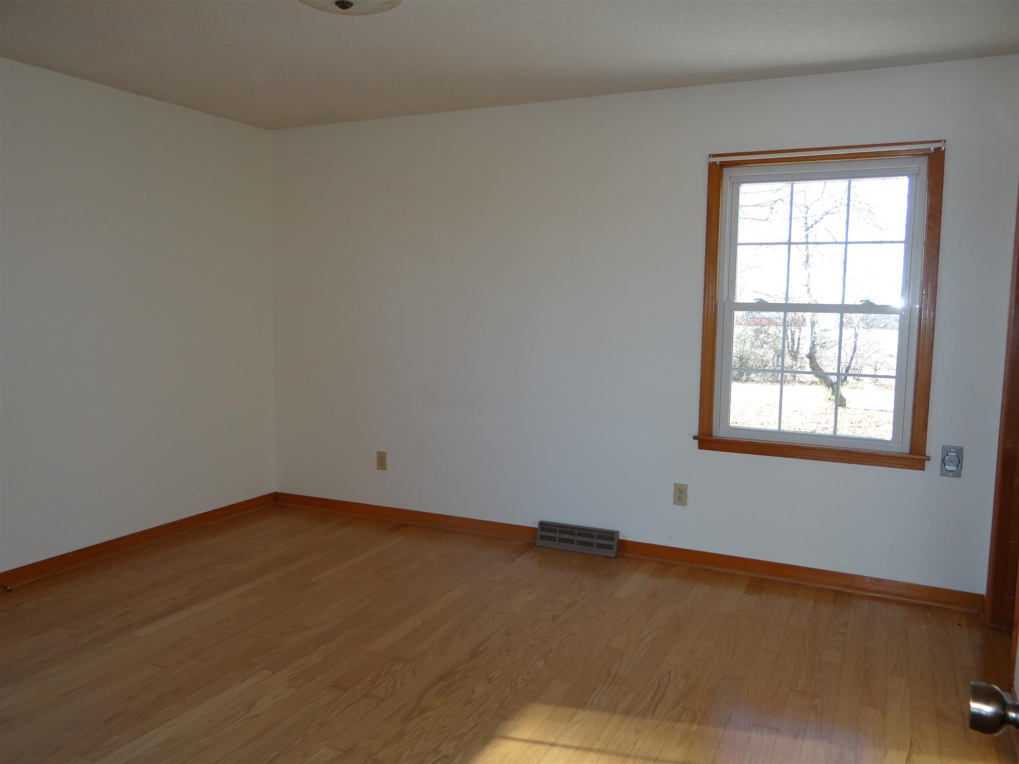 162 Dunn Fall River Road Leoma, TN 38468 - Photo 10 of 19