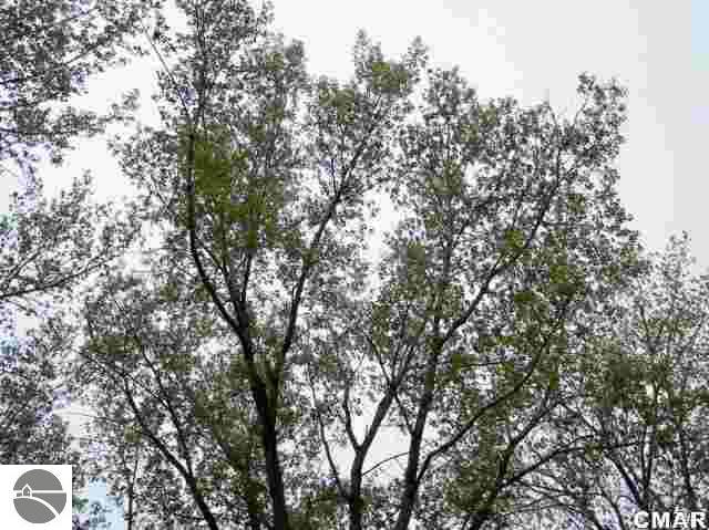 3528 Roe Court Weidman, MI 48893 - Photo 11 of 20 1772089-10.JPG