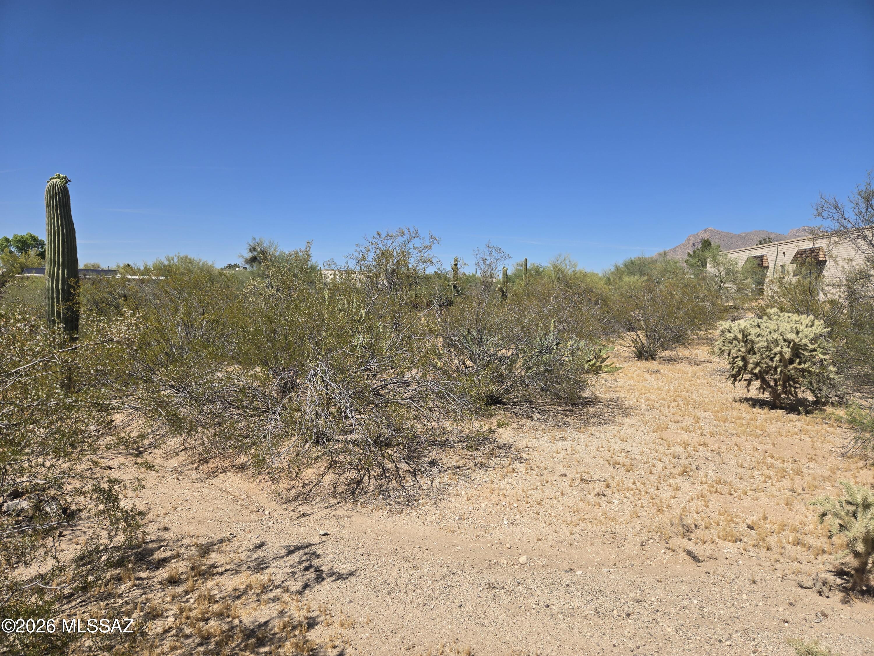 1620 West Rudasill Road Tucson, AZ 85704 - Photo 44 of 48 20260424_144248