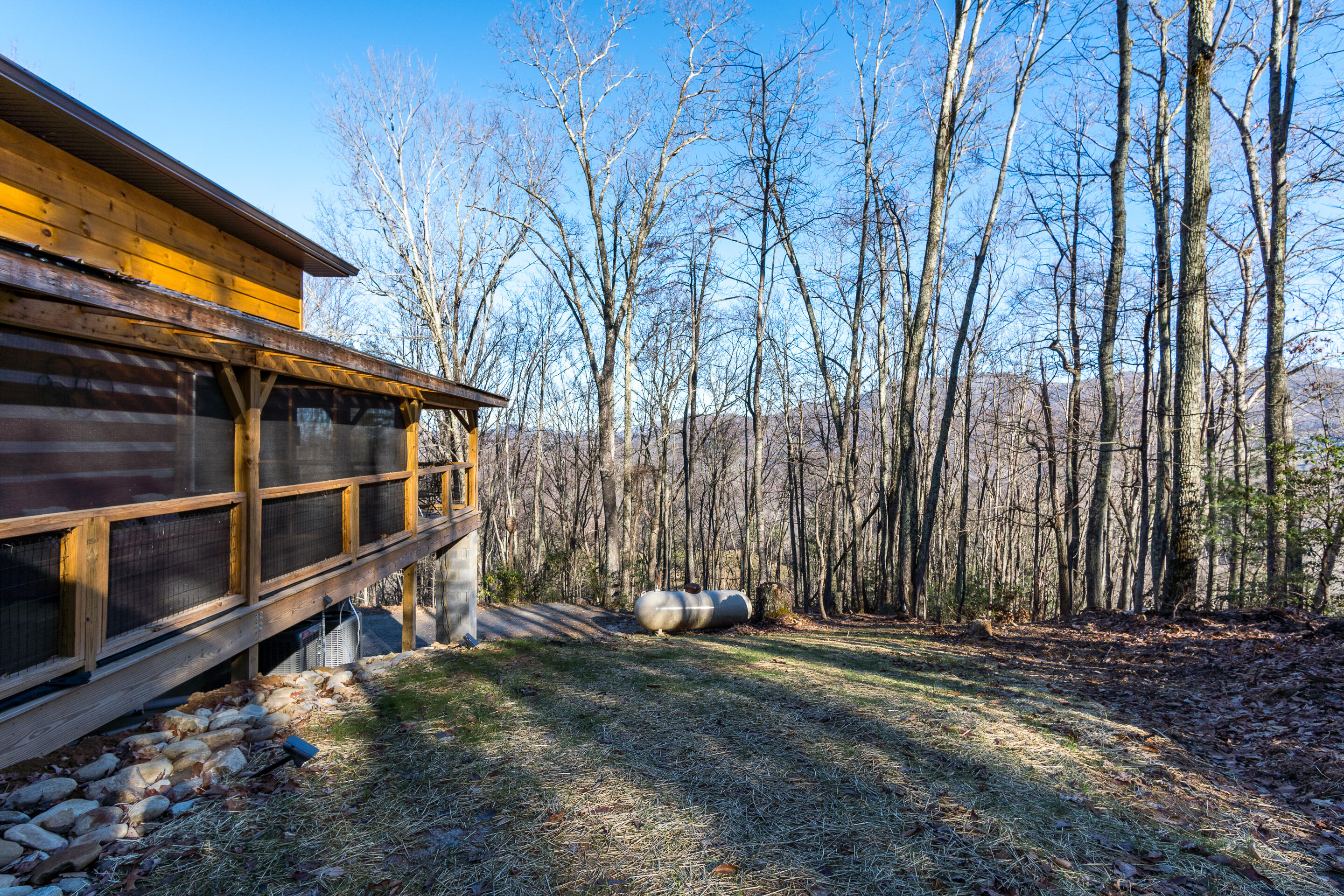 150 Knight Road Flag Pond, TN 37657 - Photo 17 of 76 exterior-29