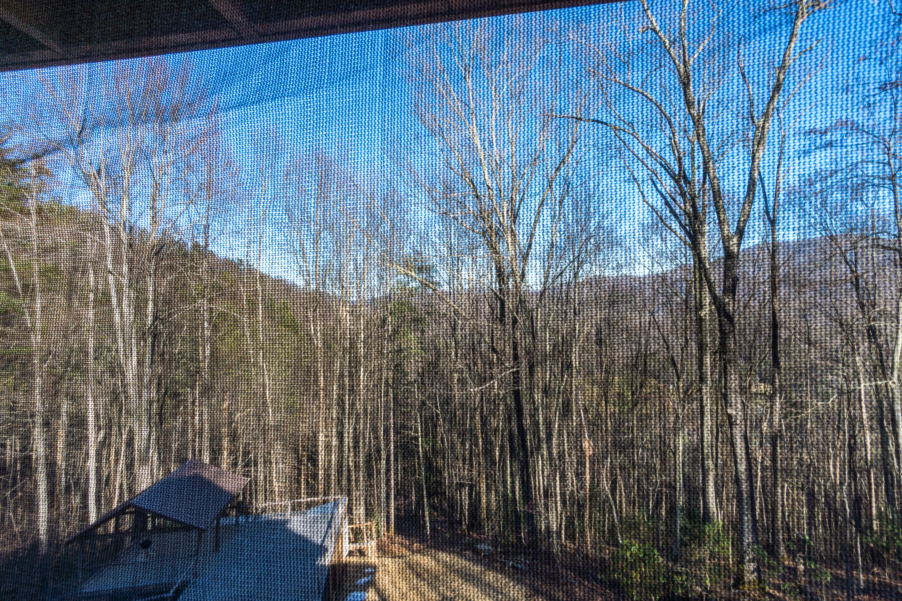 150 Knight Road Flag Pond, TN 37657 - Photo 32 of 76 exterior-2